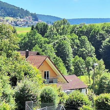 Tannenzauber Appartement *